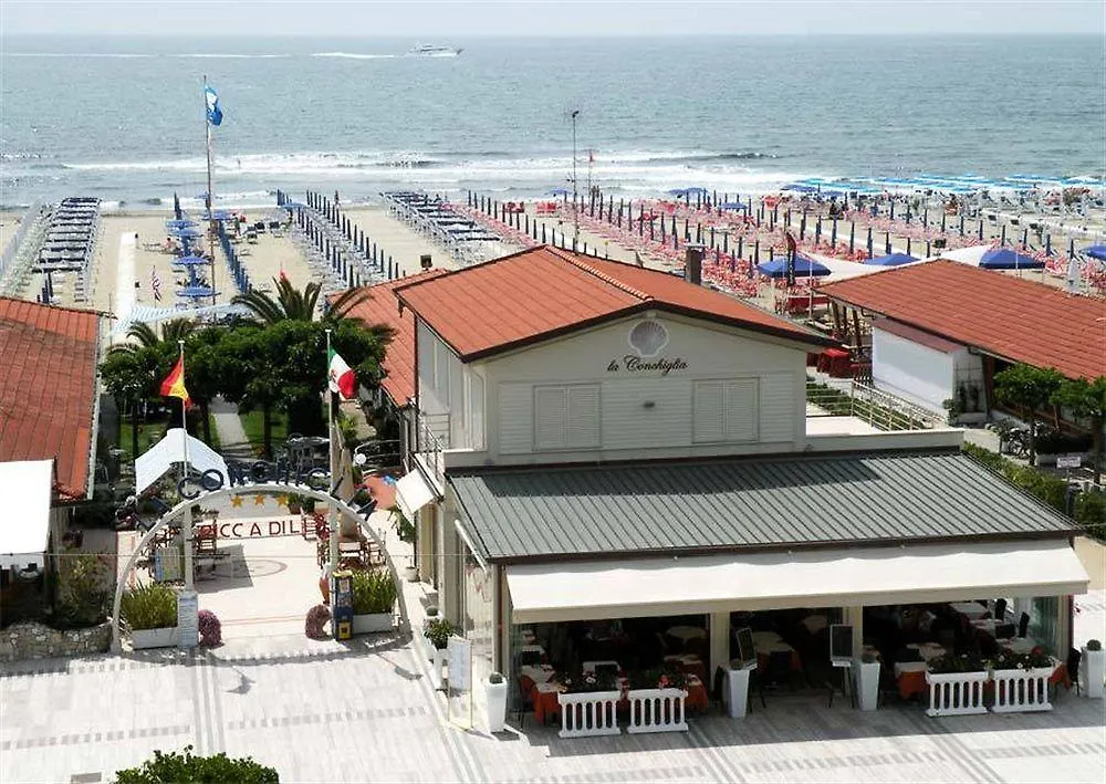 Hotel Piccadilly Lido di Camaiore 3*,  Italy